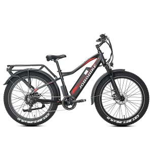 Jobobike Robin