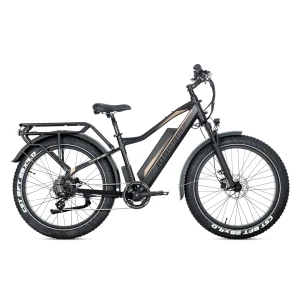 Jobobike Robin Pro