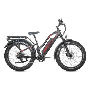 Jobobike Robin Pro ST