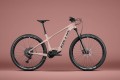 tayenrs5029 8.jpg