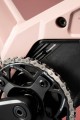 tayenrs5029 7.jpg