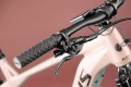 tayenrs5029 4.jpg