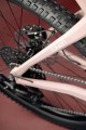 tayenrs5029 3.jpg