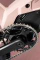tayenrs5029 1.jpg