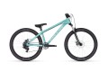 whip10dx 2.jpg