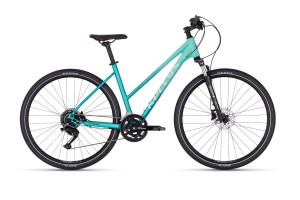 Kellys Pheebe 50